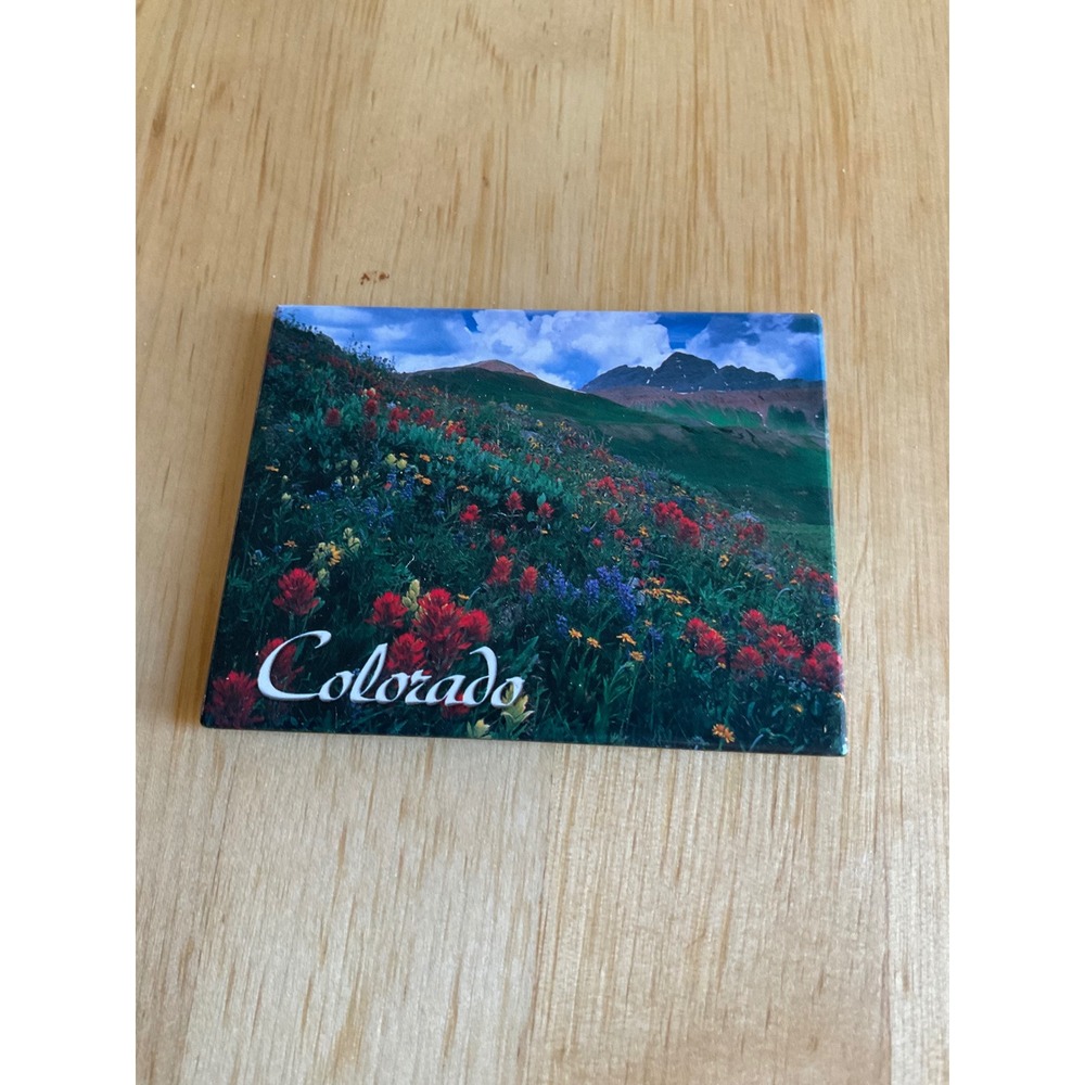 Impact Photographics Colorado Maroon Bells Wildflower Souvenir Fridge Magnet